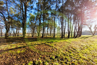 achat terrain soubran 17150