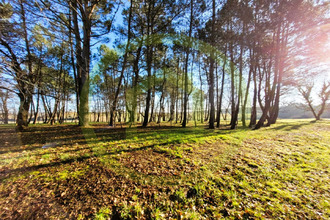 achat terrain soubran 17150