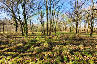 achat terrain soubran 17150