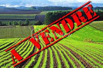 achat terrain sourdeval 50150