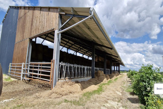 achat terrain souvigne 37330