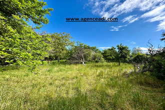 achat terrain souvigne 79800