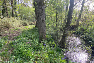 achat terrain st-andre-treize-voies 85260