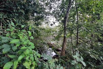 achat terrain st-armel 35230