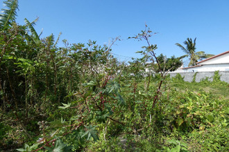 achat terrain st-benoit 97470