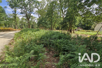 achat terrain st-benoit-la-foret 37500