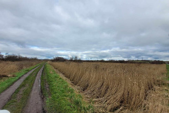 achat terrain st-bonnet-sur-gironde 17150