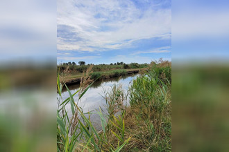 achat terrain st-bonnet-sur-gironde 17150