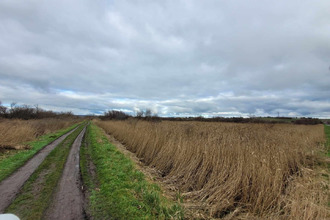 achat terrain st-bonnet-sur-gironde 17150