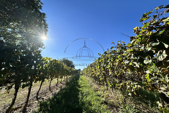 achat terrain st-bres 34670