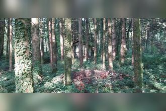 achat terrain st-bresson 70280