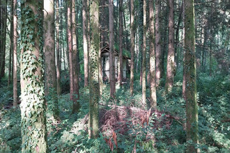 achat terrain st-bresson 70280