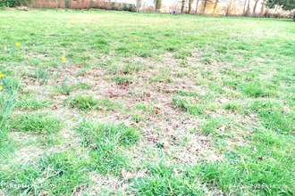 achat terrain st-brice-en-cogles 35460