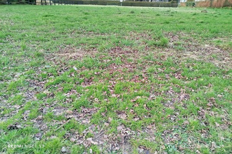 achat terrain st-brice-en-cogles 35460