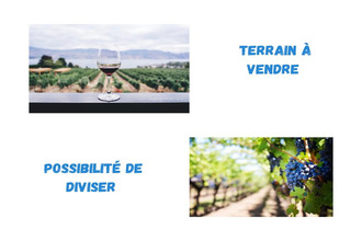 achat terrain st-chinian 34360