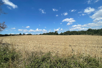 achat terrain st-christophe-du-ligneron 85670