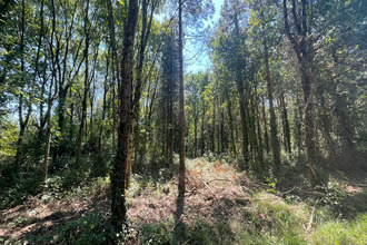 achat terrain st-christophe-du-ligneron 85670