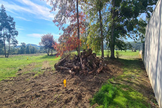 achat terrain st-crespin-sur-moine 49230