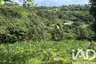 achat terrain st-denis 97417