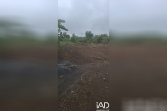 achat terrain st-denis 97490