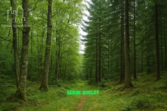 achat terrain st-denis-en-margeride 48700