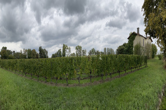 achat terrain st-emilion 33330