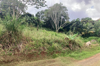 achat terrain st-esprit 97270