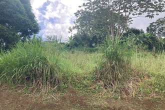 achat terrain st-esprit 97270