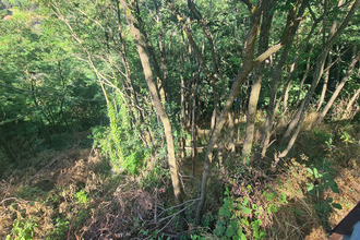 achat terrain st-etienne 42000