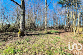 achat terrain st-firmin-des-bois 45220