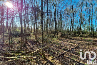 achat terrain st-firmin-des-bois 45220