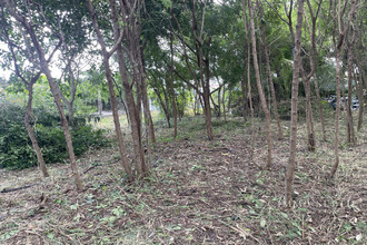 achat terrain st-francois 97118