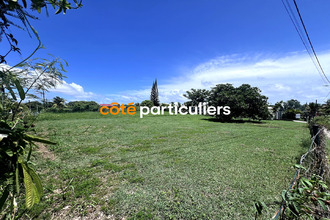 achat terrain st-francois 97118