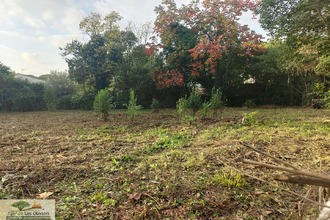 achat terrain st-georges-d-orques 34680