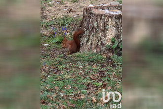 achat terrain st-hilaire-de-riez 85270