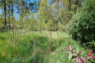 achat terrain st-hilaire-de-riez 85270