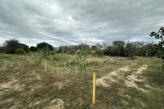 achat terrain st-hippolyte 66510