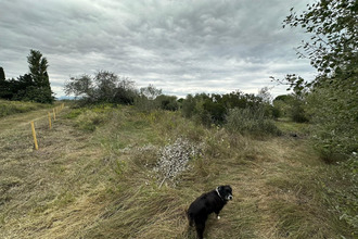 achat terrain st-hippolyte 66510