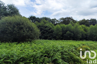 achat terrain st-jacut-les-pins 56220