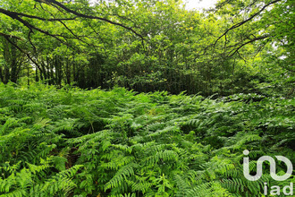 achat terrain st-jacut-les-pins 56220