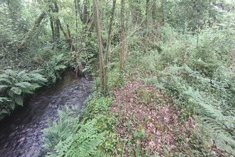 achat terrain st-jean-brevelay 56660