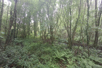 achat terrain st-jean-brevelay 56660