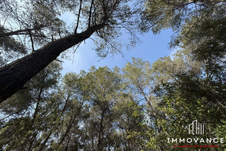 achat terrain st-jean-de-cornies 34160