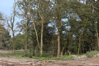 achat terrain st-jean-de-mts 85160