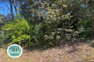 achat terrain st-jean-de-mts 85160