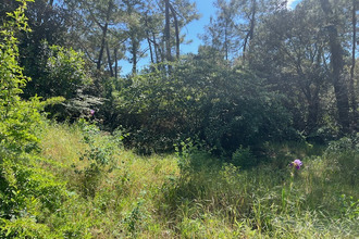 achat terrain st-jean-de-mts 85160