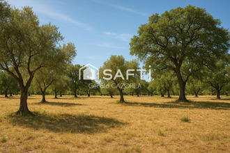 achat terrain st-jean-de-vedas 34430