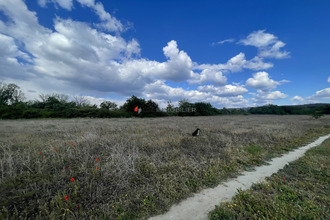 achat terrain st-jean-pla-de-corts 66490