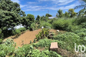 achat terrain st-joseph 97480