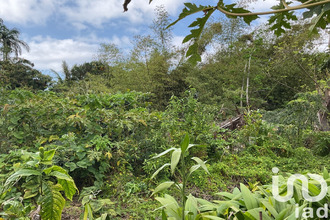 achat terrain st-joseph 97480